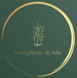 Loving Plants – By Julie